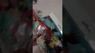 Распаковка коллекции остров хищников и ко макси часть 2