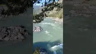 Звукотерапия. Зарядка Энергией. Поющие Чаши и река Катунь.