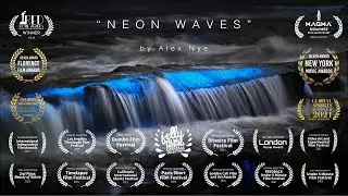 "NEON WAVES" Bioluminescence 4K Timelapse Film *Award Winning*