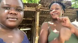 New Batch of Chicks || Pig Killing and Tripe Cleaning || Life with the Howards