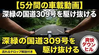 【5分間の車載動画】深緑の国道309号を駆け抜ける爽快ダウンヒル【ロードバイク】