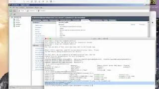 How to access ESXi VMs with VNC