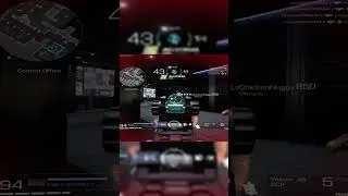 best vector loadout 