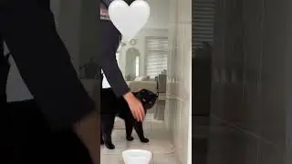 Jangan tanya ni kali ke berapa minta makan😌