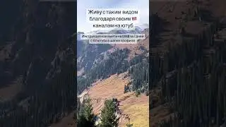 Бесплатная инструкция как выйти на 1000$ на US Ютубе samjones.ru/14bspartnerka?gcao=34043&gcpc=d8c89