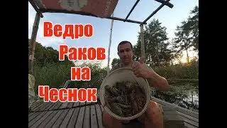 Как поймать ведро Раков на чеснок