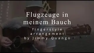 "Flugzeuge In Meinem Bauch" fingerstyle cover by Jimmy Quango