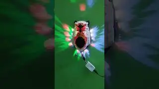 Dm insta - pahadi_printer_03    for order