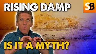 The Rising Damp Myth Exposed? Roger's  Rant!