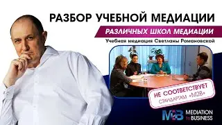 Разбор медиации Светланы Романовской.