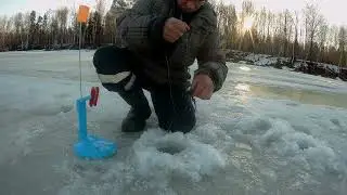 Закрыли зимний сезон рыбалки у черепа.