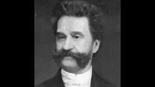 Johann Strauss Jr  Edition, Vol  19