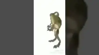 frog dance