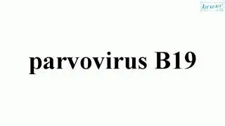 parvovirus B19