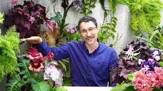 Чем подкислить почву для ацидофильных растений