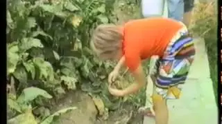 Seregély dűlő