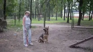 Дарочка