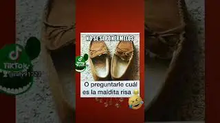 y cual es la risa🤣🤣🤣🤣
