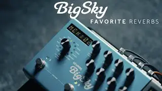 My Favorite Strymon BigSky Reverbs | Presets