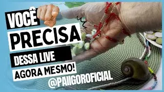 REVELAÇÃO COMPLETA PARA A SUA VIDA 🙏🤲🔮  #rituais #mensagem #oração #leidaatração #feitico #búzios