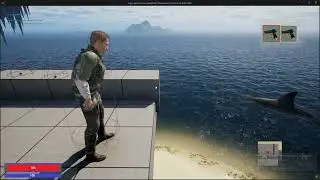 Jackson UE5 - Ammo System