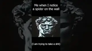 When I Notice A Spider On The Wall