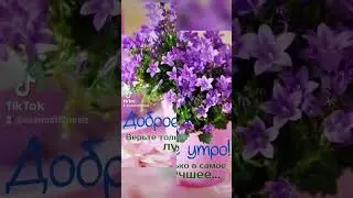 #доброеутро #последнийденьлета