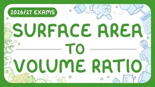 GCSE Biology - Surface Area to Volume Ratio