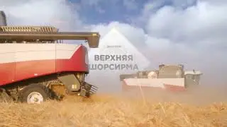 На благоустройство пруда