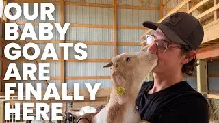 Making A Homestead | Goat Barn | 2