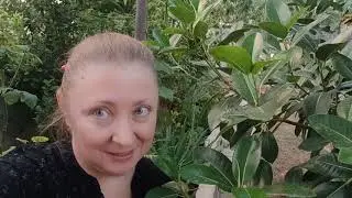 Почему я пропала??