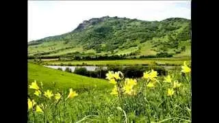 Kazakstan Of Mine // Blue Chip Orchestra - Ate Heye Lo!