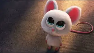 Реальная белка 2 - Ой! какой то милым ❤😍💕💗🤍🥰🥰