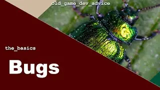 Videogame Bugs (Sources and Resolution) - The Basics