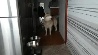 Продоожаю ругать засранку!