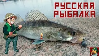 Русская Рыбалка 4 - Каролинская оснастка (тестируем на водоёмах)