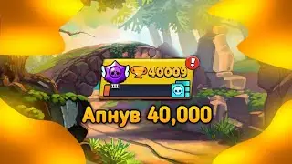 Апнув 40,000