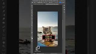 Amazing Photo Edit | Photoshop Tutorial #shorts