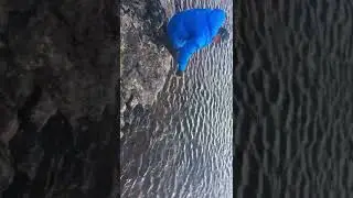 Рыбалка на Кольском хариус