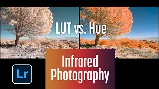 Lightroom LUT vs. Hue for Color Infrared Editing