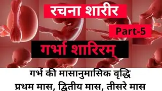 गर्भ की मासानुमासिक वृद्धि प्रथम मास, द्वितीय मास, तीसरे मास || गर्भा शारिरम् {Part-5} || रचना शारीर