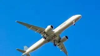 Plane Spotting Tampa International AirPort