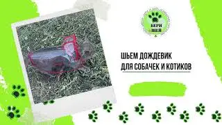Дождевик для собачек и котиков + выкройки