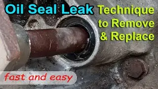 Remove Leak Shift shaft Oil Seal Easy using Screw - Replace STX motorcycle leak oil seal - technique