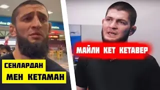 ШОК! ХАБИБ БИЛАН ТОРТИШУВ ХАМЗАТГА ҚИММАТГА ТУШДИ!