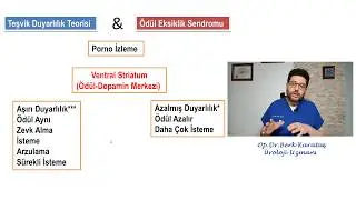 Porno ve Uygunsuz Mastürbasyon Bağımlılığı Nasıl Oluşur ?
