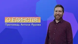 Единство при РАЗНООБРАЗИИ || ПРОЩЕНИЕ - путь к единству.