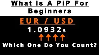 Forex: What Is A Pip (Beginners Must Learn This First)