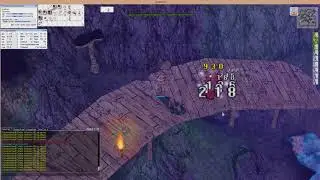 Ragnarok Online. Фарм Фальконер. Големы