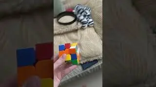 Colors are whack, dog